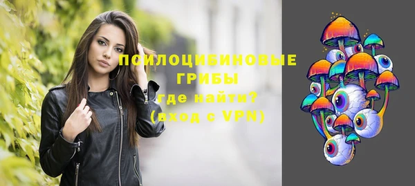 молекула духа Абинск