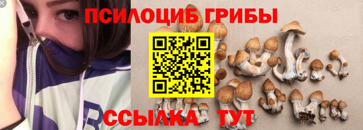 Галлюциногенные грибы Psilocybe Советский